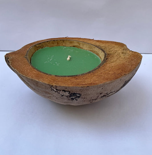 VELAS BASE COCO NATURAL, VERDE